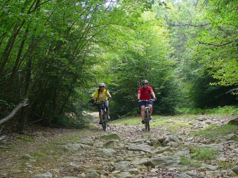 Guided Biking girls 3